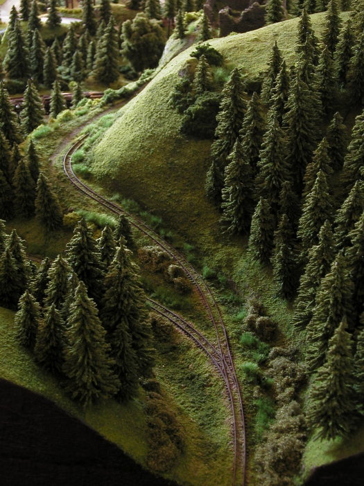 Lesní železnice